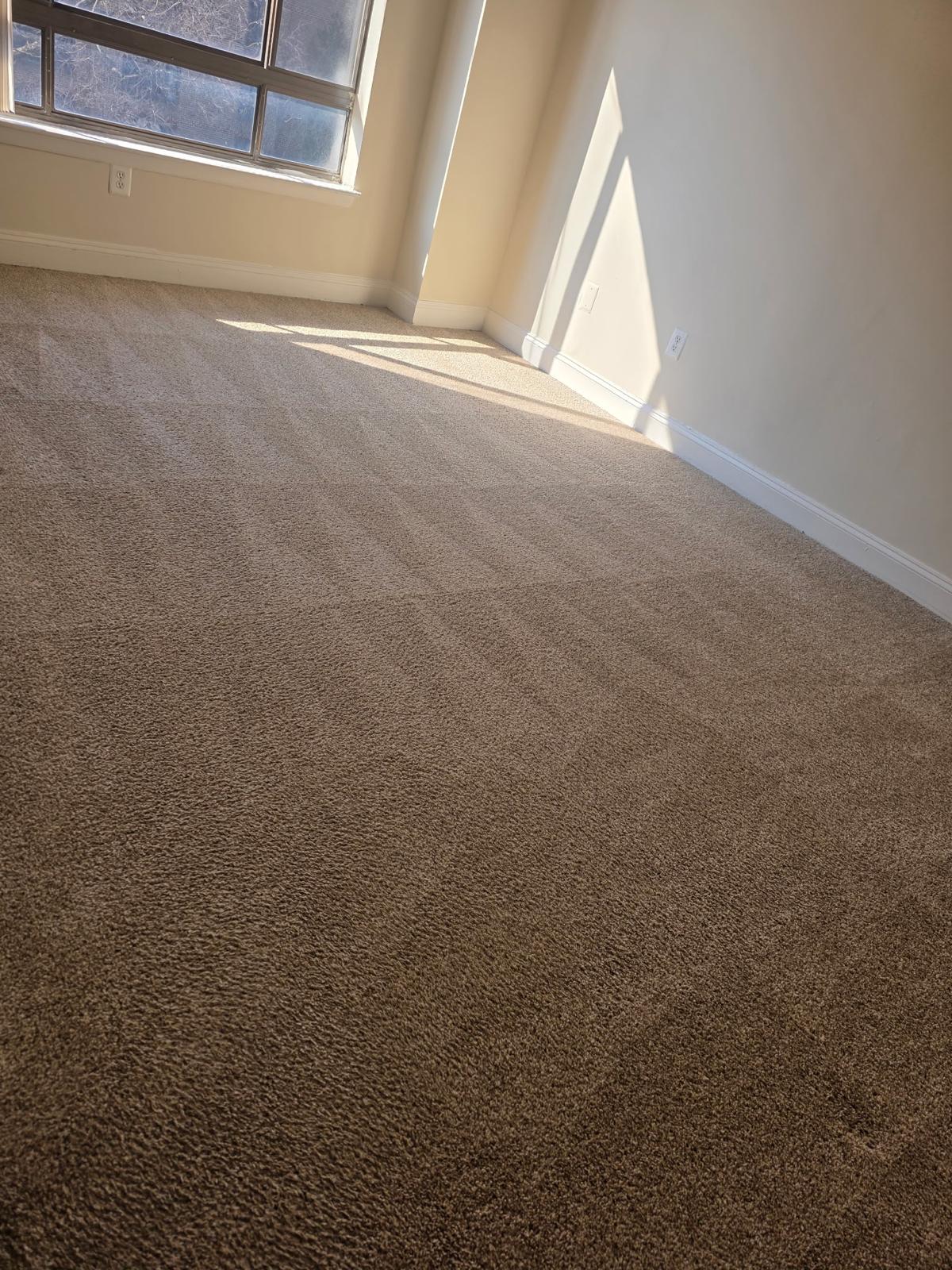 Carpet Cleaning Work